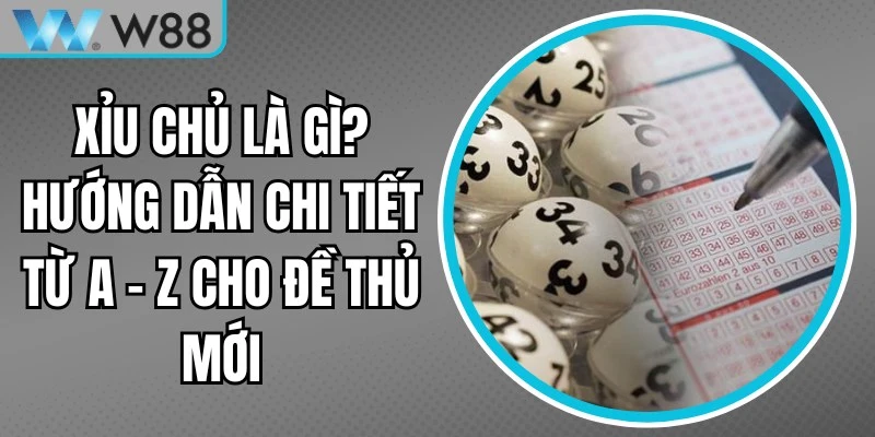 Xỉu Chủ Là Gì